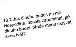 Žalm 13, ČLP